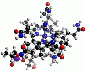 B12 Vitamini Nedir