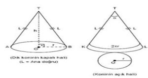 koninin-kac-kosesi-vardir