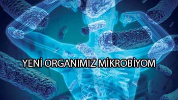 Mikrobiyom nedir kısaca?