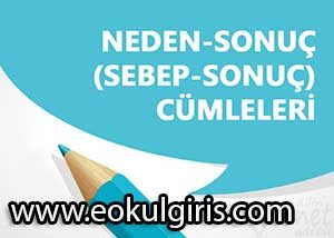 Sebep sonuç ilişkisi ile ilgili kısa örnekler 2. 3. ve 4. sınıf