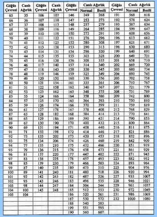 Kurbanlık hayvanlarda yaş ve kilo tespiti