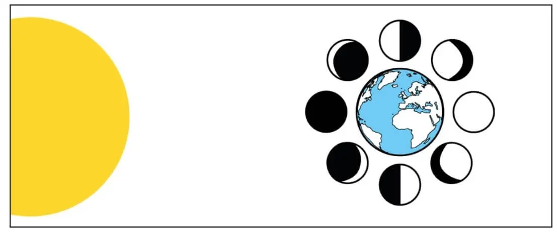 5. Sınıf Fen Bilimleri Ders Kitabı Sayfa 26-27-35-36-37-40-43 Cevapları Meb Yayınları