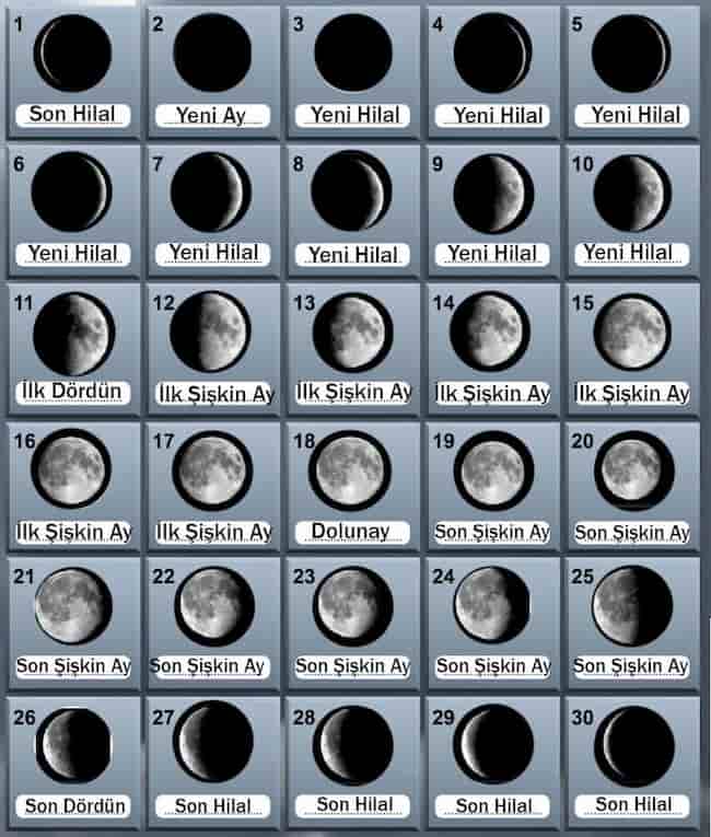 5. Sınıf Fen Bilimleri Ders Kitabı Sayfa 26-27-35-36-37-40-43 Cevapları Meb Yayınları